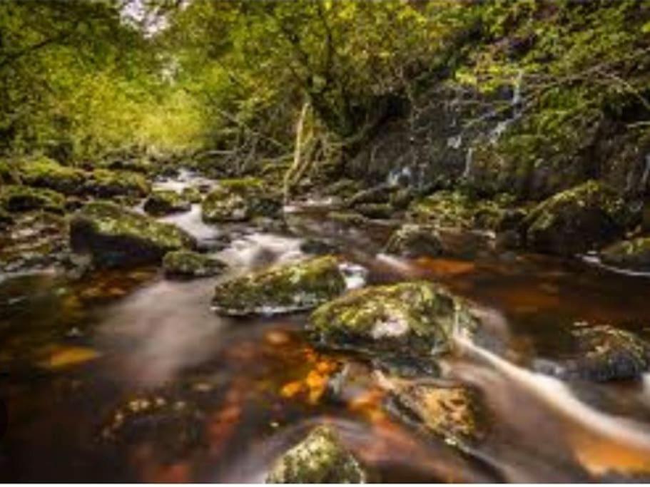 Lakeland Lodge Derrylin Dış mekan fotoğraf